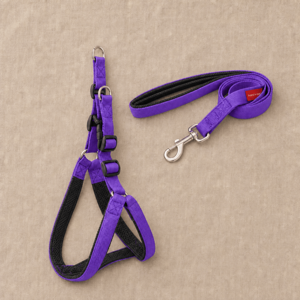 The Explore Harness - SnuggleNest