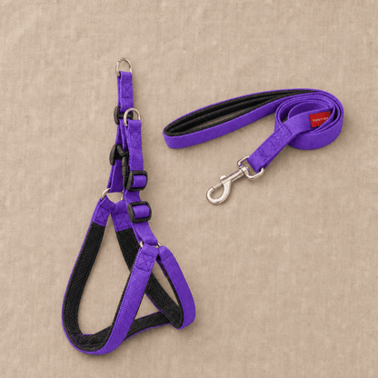 The Explore Harness - SnuggleNest