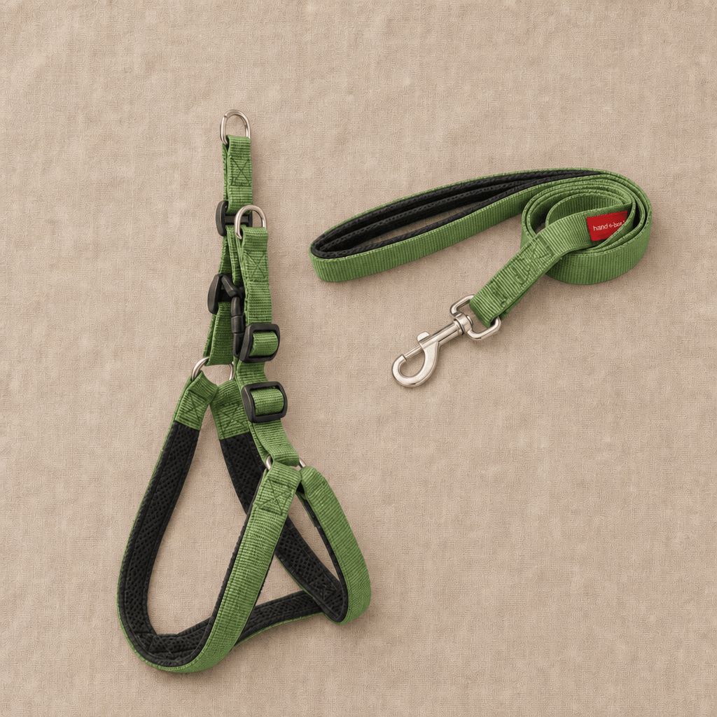 The Explore Harness - SnuggleNest