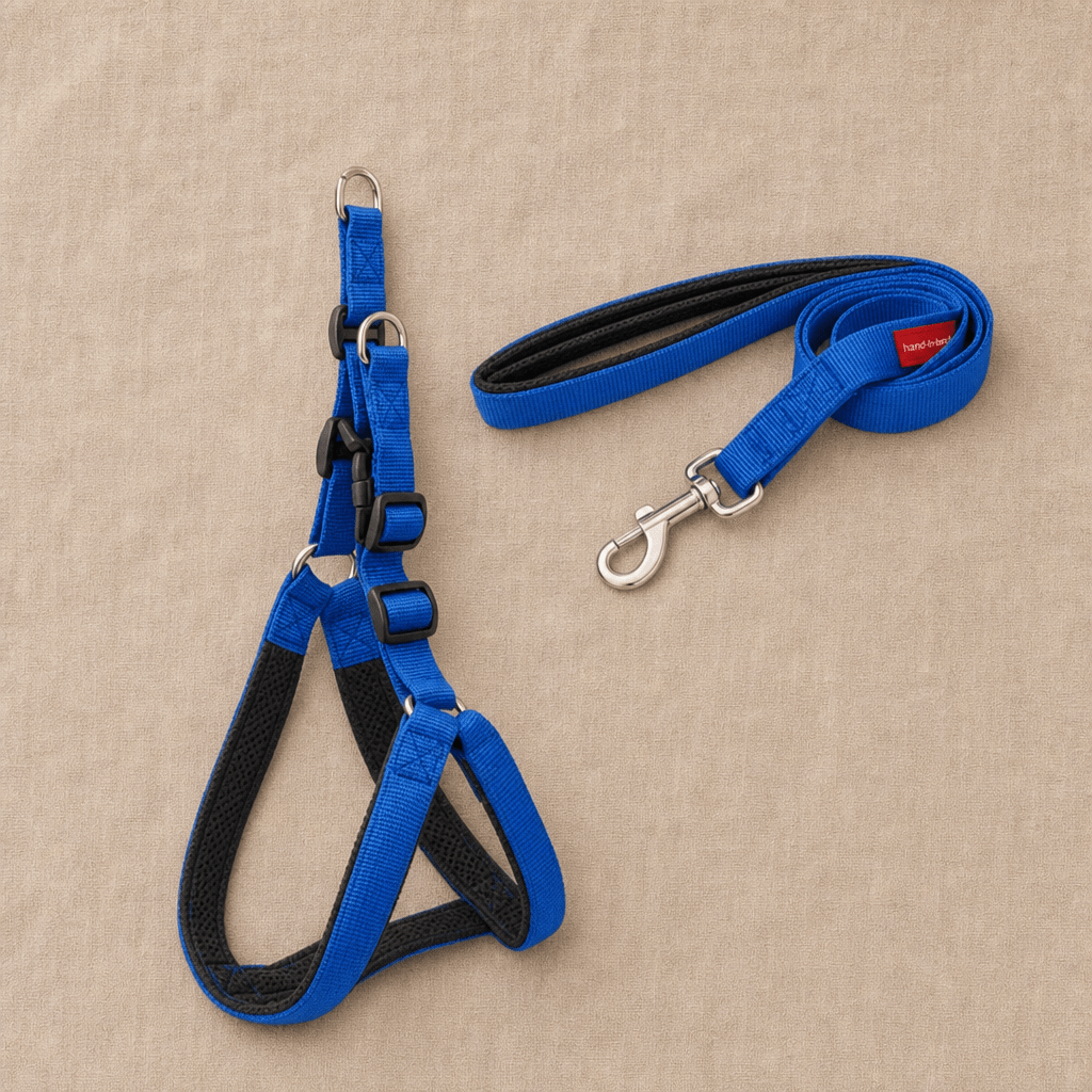 The Explore Harness - SnuggleNest