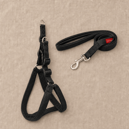 The Explore Harness - SnuggleNest